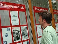 Ez a kiút a közmunka mocsarából? - Súlyos dolgot hanyagolt a kormány