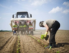 Még egy hétig lehet teljes összegű támogatást kérni az agrárbiztosításokhoz