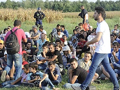 Huszonkét civil szervezet kéri a kormányt a válság humánus kezelésére