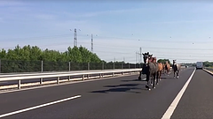 Végéhez közeledik az M6-os építése