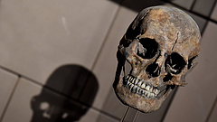 Index: Debrecenbe költözik a Természettudományi Múzeum