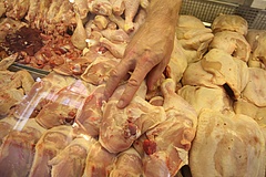 Újabb állatról emberre átterjedt vírusfertőzés jelent meg