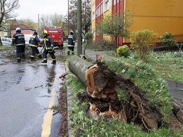 Tűzoltók dolgoznak a viharos szélben kidőlt fa eltávolításán Nagykanizsa keleti városrészében 2026. március 27-én